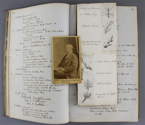 19th century Botanical studies,